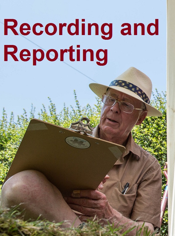 Recording and Reporting